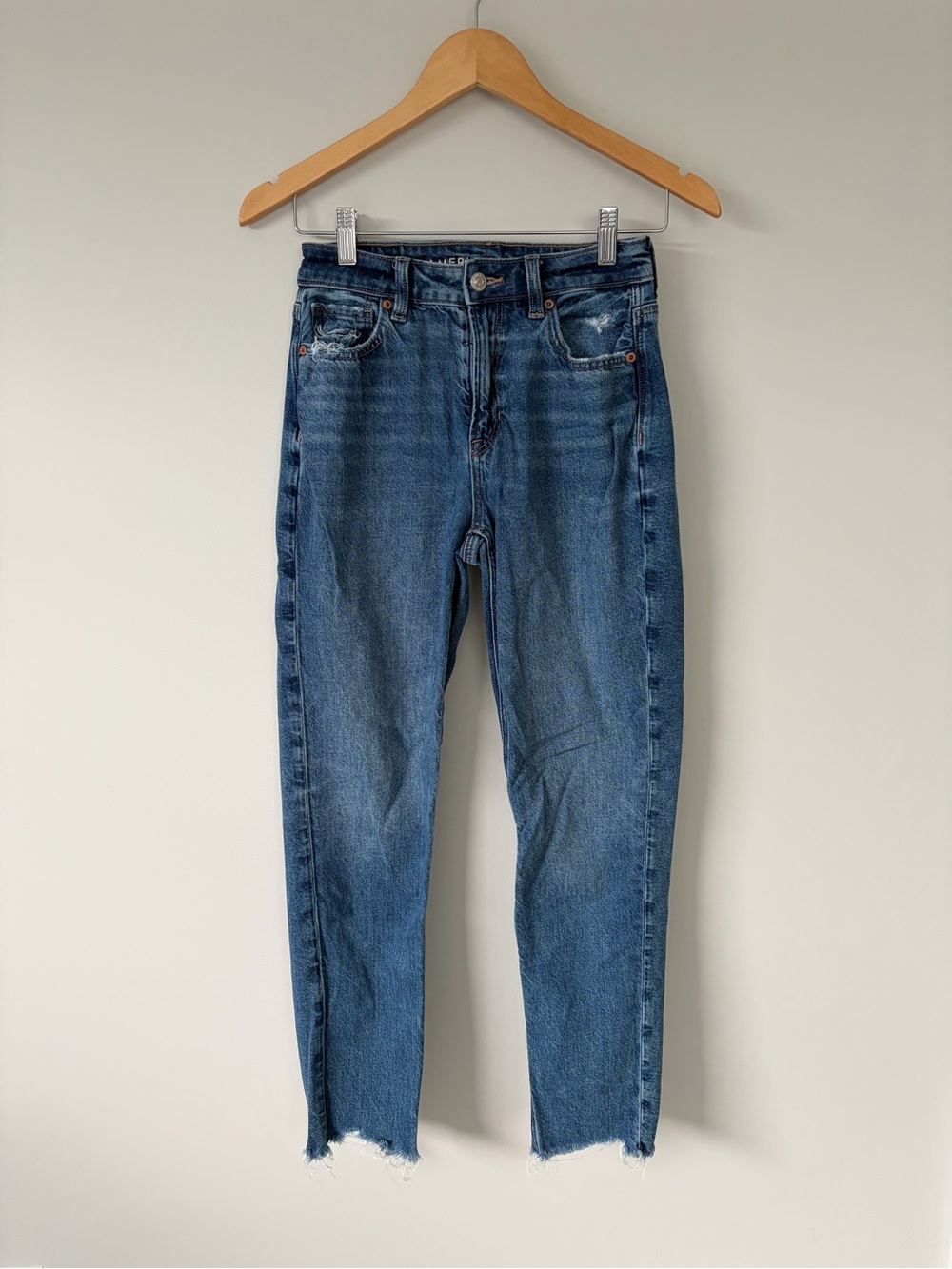 American Eagle Outfitters Strigid Mom Jeans